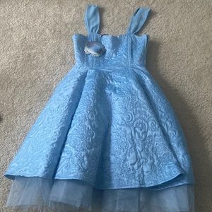 Disney Cinderella Dress